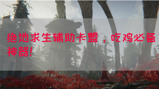 绝地求生辅助卡盟，吃鸡必备神器！