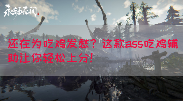 还在为吃鸡发愁？这款ass吃鸡辅助让你轻松上分！(图1)