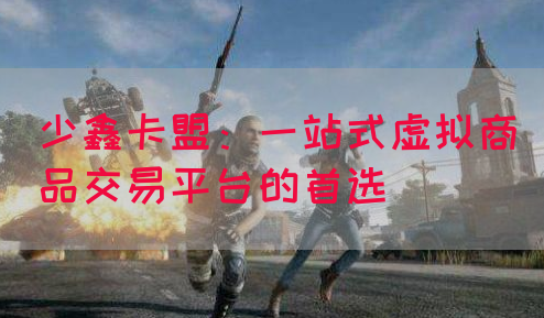 少鑫卡盟：一站式虚拟商品交易平台的首选