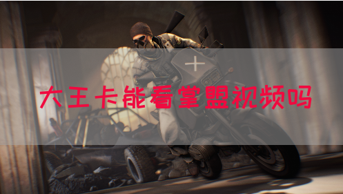 大王卡能看掌盟视频吗