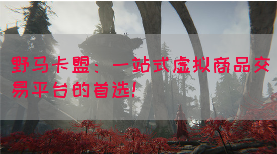 野马卡盟：一站式虚拟商品交易平台的首选！