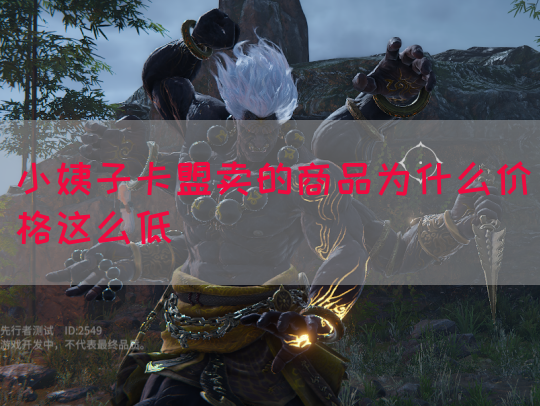 小姨子卡盟卖的商品为什么价格这么低