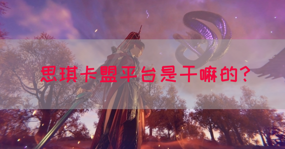 思琪卡盟平台是干嘛的？