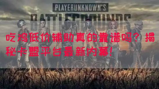 吃鸡低价辅助真的靠谱吗？揭秘卡盟平台最新内幕！