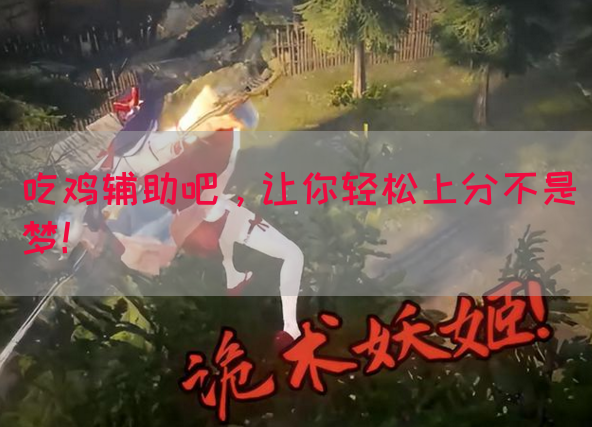 吃鸡辅助吧，让你轻松上分不是梦！