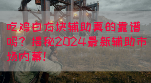 吃鸡白方块辅助真的靠谱吗？揭秘2024最新辅助市场内幕！