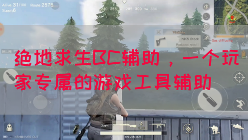 绝地求生BC辅助，一个玩家专属的游戏工具辅助