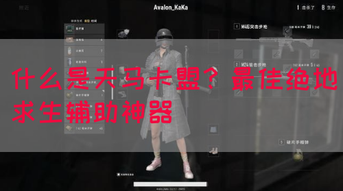 什么是天马卡盟？最佳绝地求生辅助神器