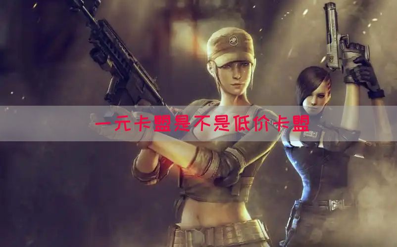 一元卡盟是不是低价卡盟