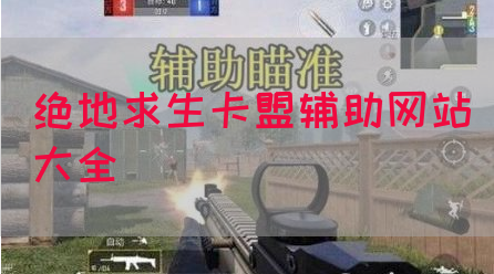 绝地求生卡盟辅助网站大全