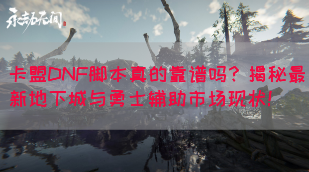 卡盟DNF脚本真的靠谱吗？揭秘最新地下城与勇士辅助市场现状！