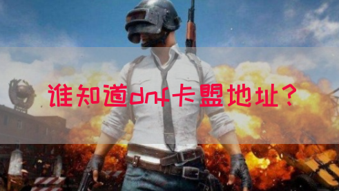 谁知道dnf卡盟地址？