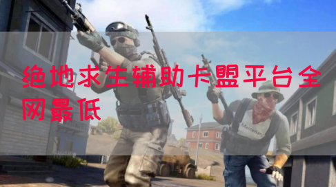 绝地求生辅助卡盟平台全网最低