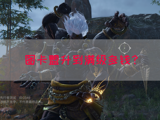 图卡盟升到满级多钱？