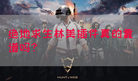 绝地求生林美插件真的靠谱吗？