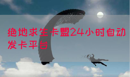 绝地求生卡盟24小时自动发卡平台