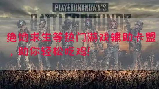 绝地求生等热门游戏辅助卡盟，助你轻松吃鸡！