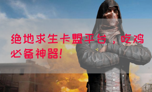 绝地求生卡盟平台，吃鸡必备神器！