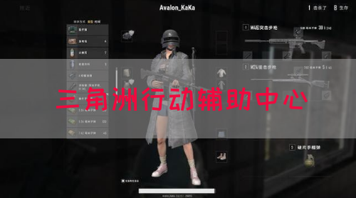 三角洲行动辅助中心
