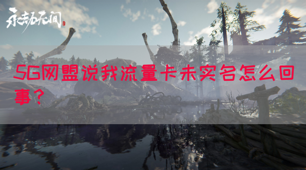5G网盟说我流量卡未实名怎么回事？