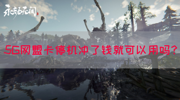 5G网盟卡停机冲了钱就可以用吗？