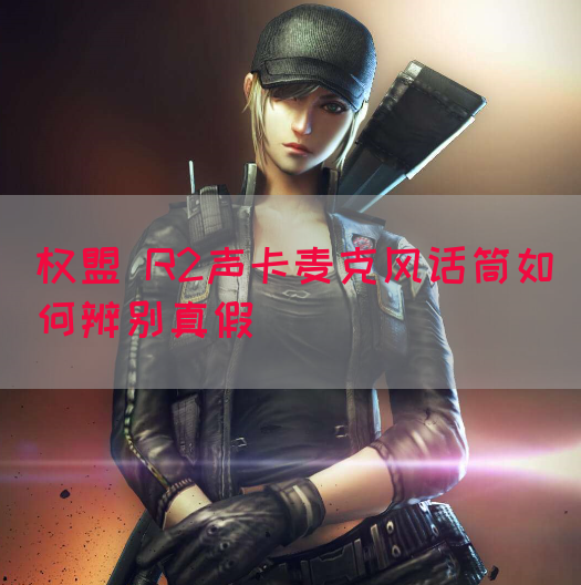 权盟 R2声卡麦克风话筒如何辨别真假