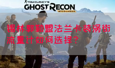 锡林郭勒盟法兰卡装涡街流量计如何选择？