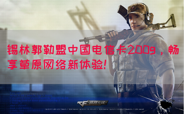 锡林郭勒盟中国电信卡200g，畅享草原网络新体验！