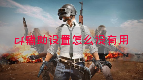 cf辅助设置怎么没有用