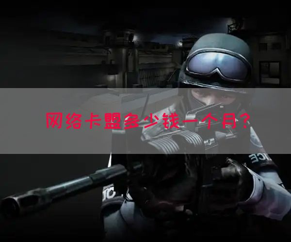 网络卡盟多少钱一个月？
