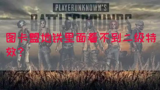 图卡盟地铁里面看不到二级特效？