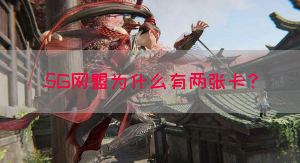 5G网盟为什么有两张卡？