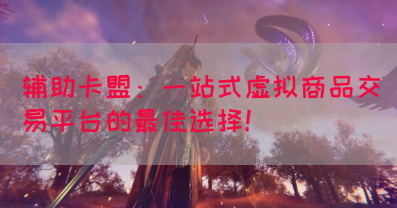辅助卡盟：一站式虚拟商品交易平台的最佳选择！