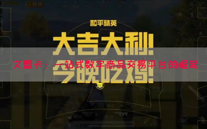 文盟卡：一站式数字商品交易平台的崛起