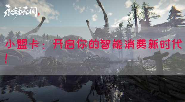 小盟卡：开启你的智能消费新时代！