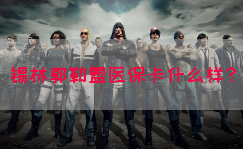 锡林郭勒盟医保卡什么样？