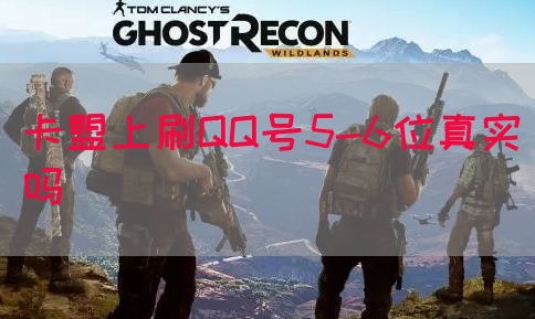 卡盟上刷QQ号5-6位真实吗