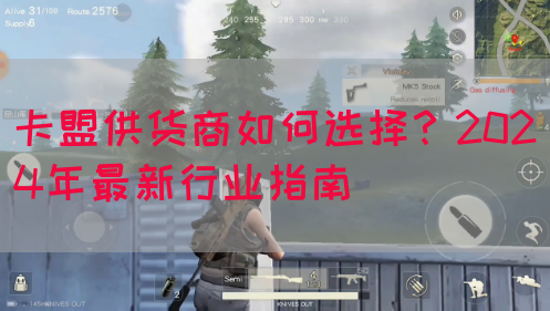 卡盟供货商如何选择？2024年最新行业指南