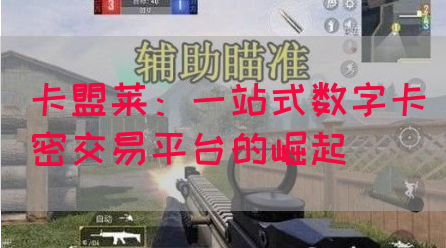 卡盟莱：一站式数字卡密交易平台的崛起
