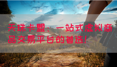 天珠卡盟：一站式虚拟商品交易平台的首选！