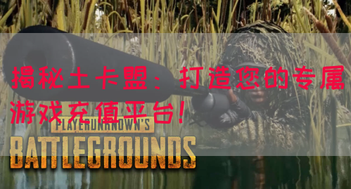 揭秘土卡盟：打造您的专属游戏充值平台！