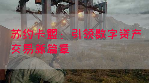 苏约卡盟：引领数字资产交易新篇章