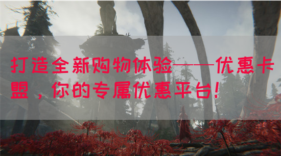 打造全新购物体验——优惠卡盟，你的专属优惠平台！