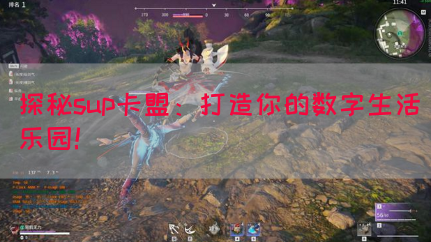 探秘sup卡盟：打造你的数字生活乐园！