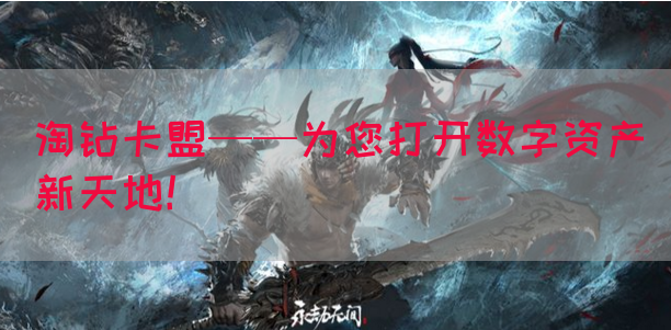 淘钻卡盟——为您打开数字资产新天地！