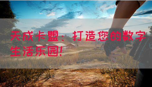 天成卡盟：打造您的数字生活乐园！