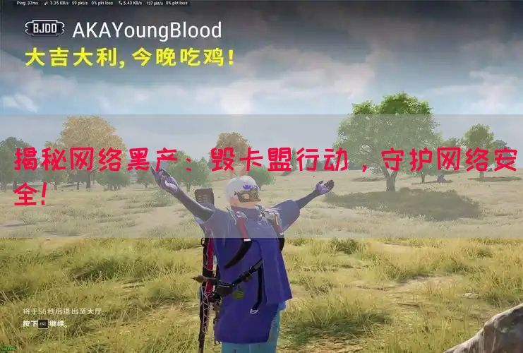 揭秘网络黑产：毁卡盟行动，守护网络安全！