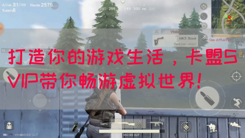 打造你的游戏生活，卡盟SVIP带你畅游虚拟世界！