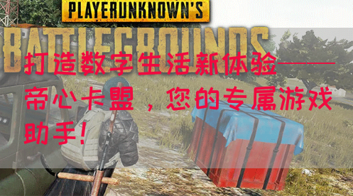 打造数字生活新体验——帝心卡盟，您的专属游戏助手！