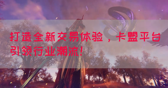 打造全新交易体验，卡盟平台引领行业潮流！